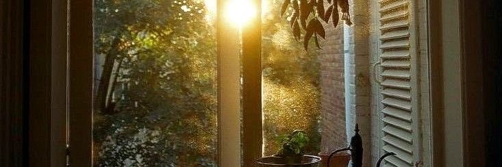 sincerely, maddie ₊°｡ banner