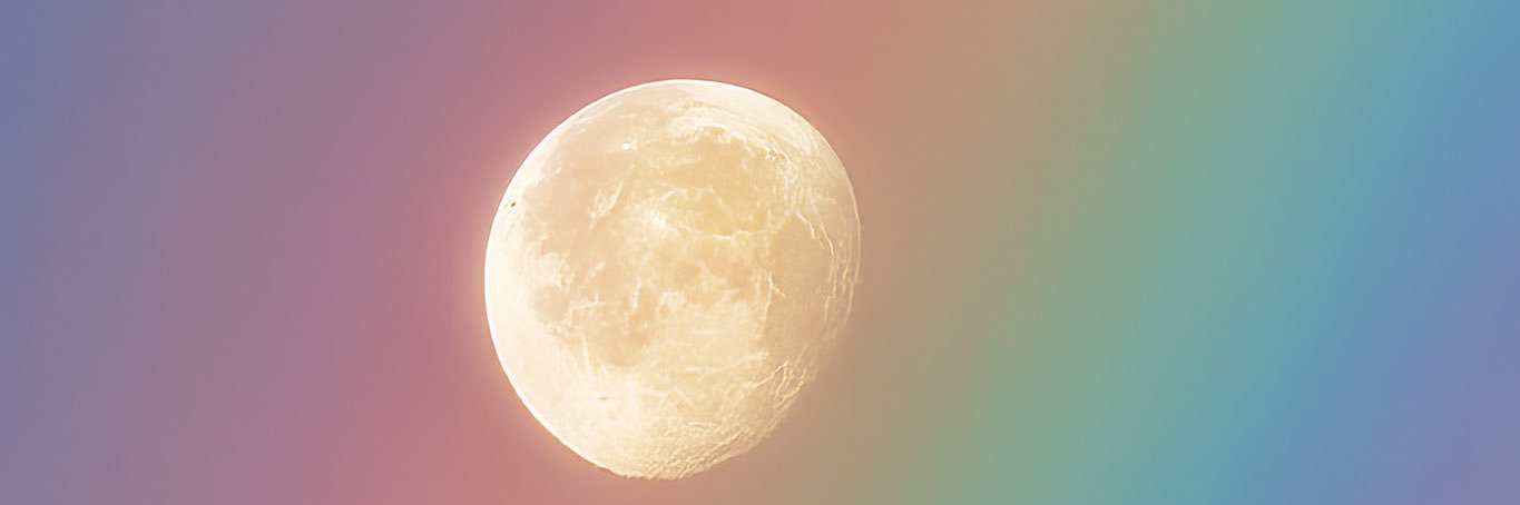 Sliverwhale_'s profile banner image