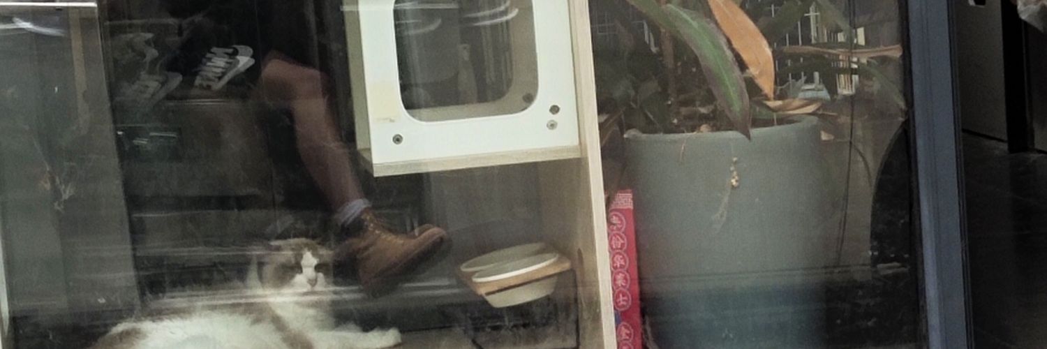 我是Coco啊🥊 banner