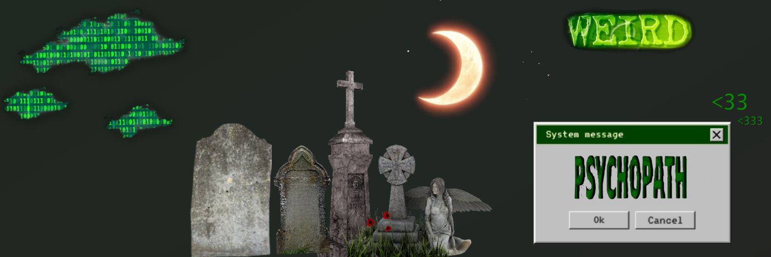 LAIN ☘️ • WEBUSER555 . banner