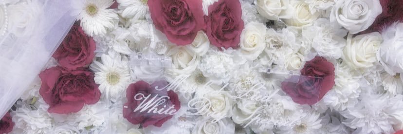 Tll_zzz's profile banner image