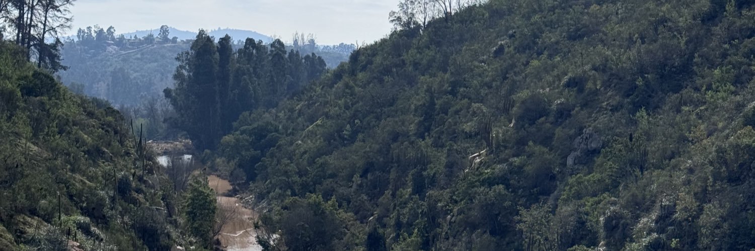 sergio_vs's profile banner image