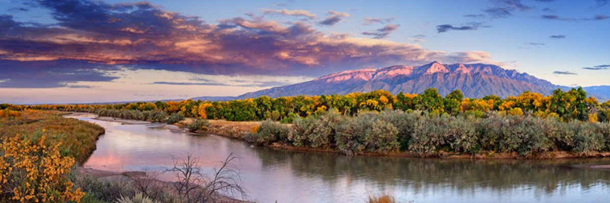 Cindy McMillan ☮ banner