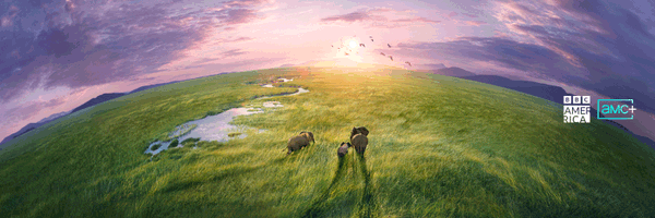 BBCAMERICA Profile Banner