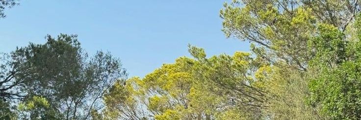 amber banner