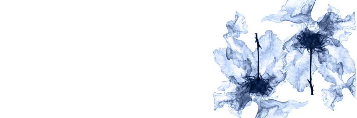 𝖹𝖺𝗇𝗄𝖺 ᛪ༙ 🚯 banner