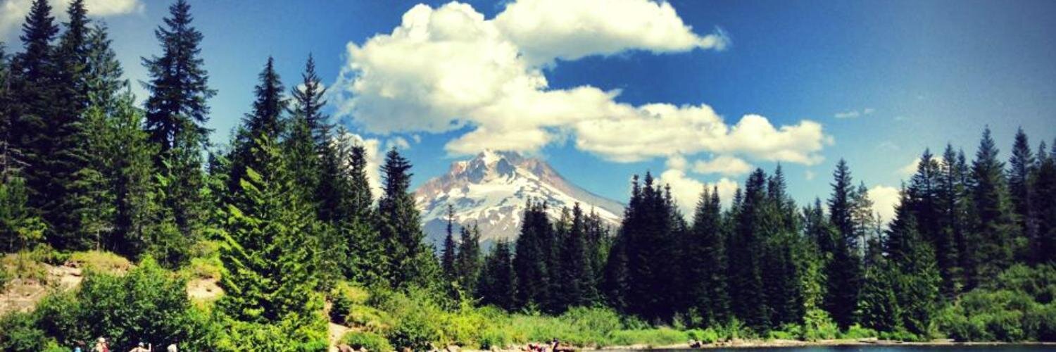 NicoleSnedden's profile banner image