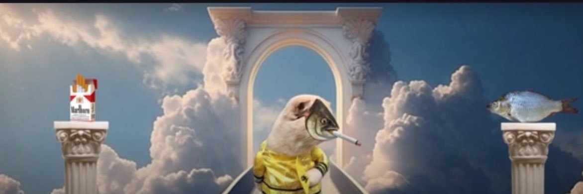 ChurchFishCat's profile banner image