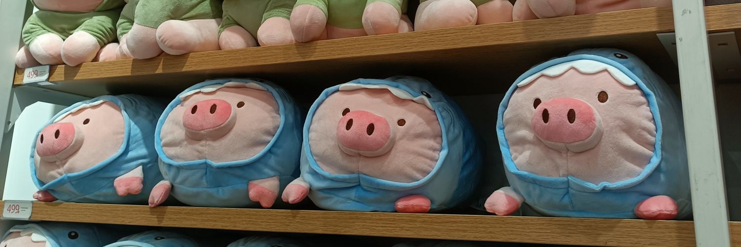 chubiddubi's profile banner image