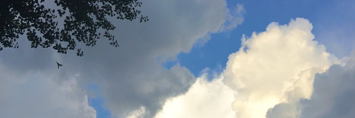 enen12306's profile banner image