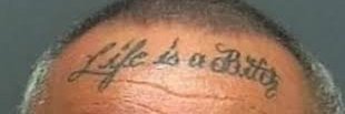 WaxDaFluzzy🔞 banner