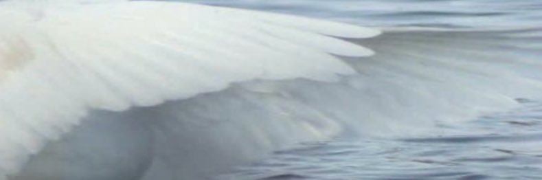 Noa11_xd's profile banner image