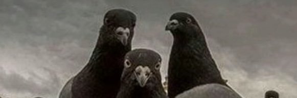 deaglewho's profile banner image