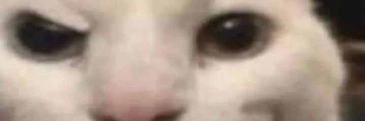 gatoy6563's profile banner image