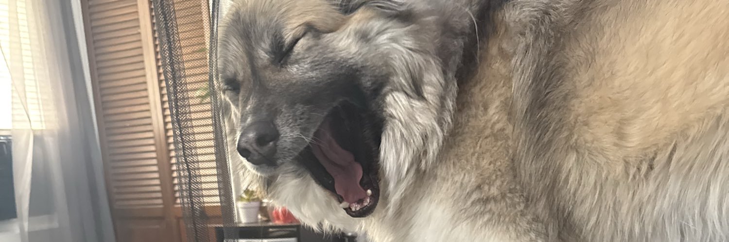 mnxxh's profile banner image
