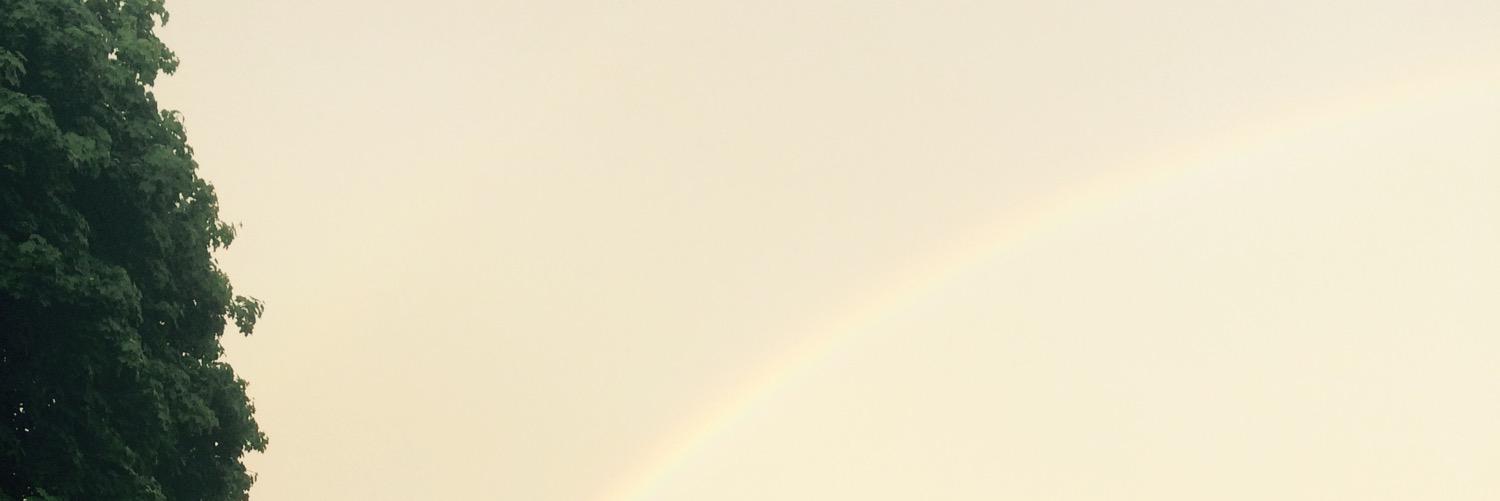 mpwalshie's profile banner image