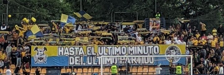 Depresiva alcorcón🇵🇸 banner