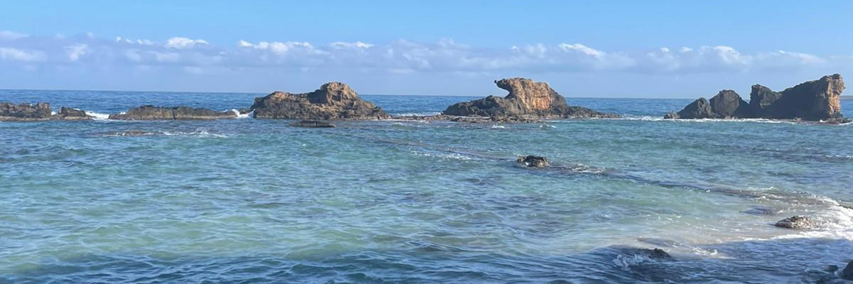 Ava🇰🇷🇫🇷 banner