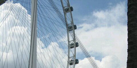 olethagreen's profile banner image