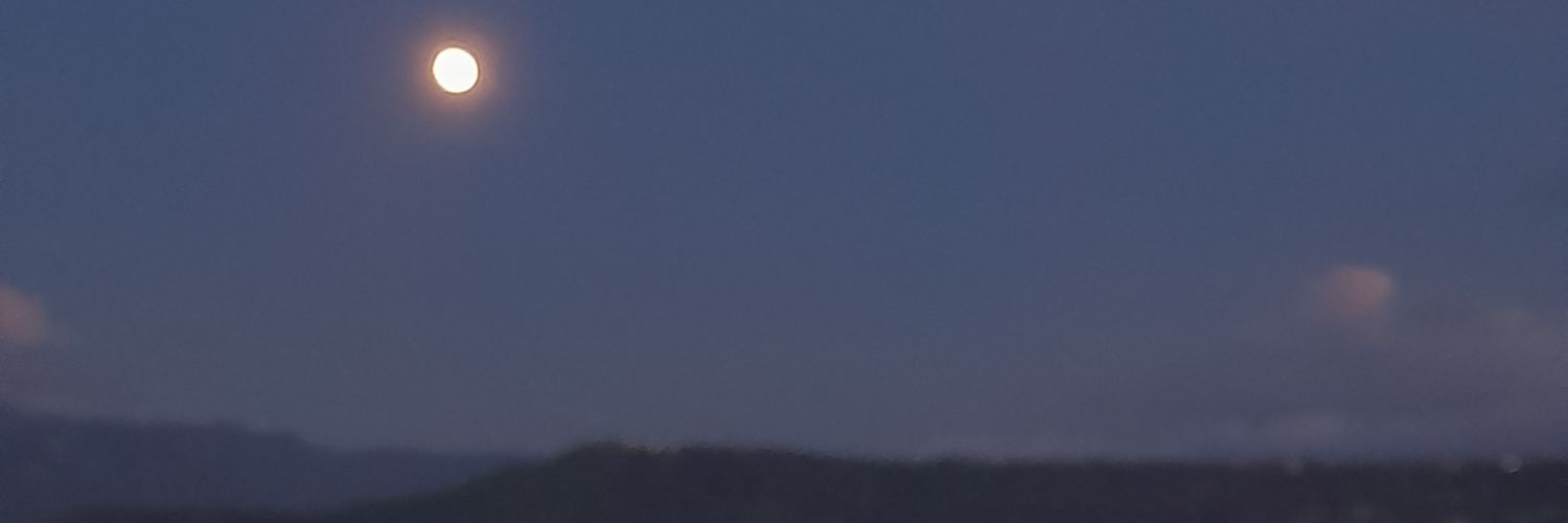 Licsa M. Gómez G. banner