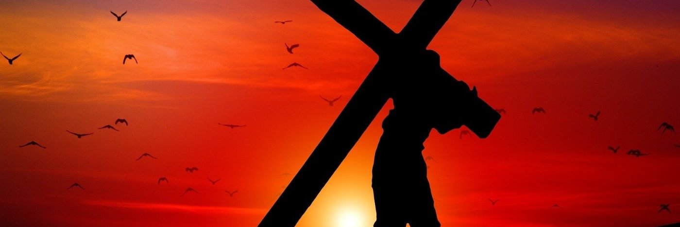 Mistico da Paz banner