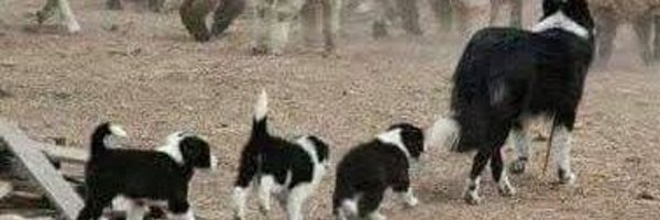 Barbara97668547 Profile Banner