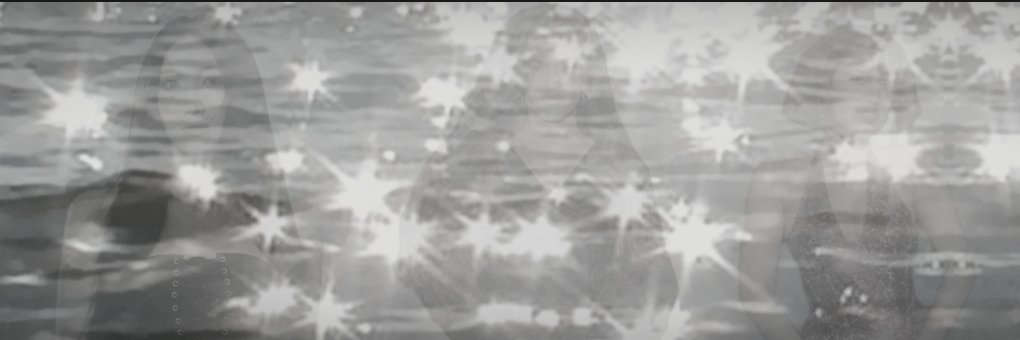Lara banner