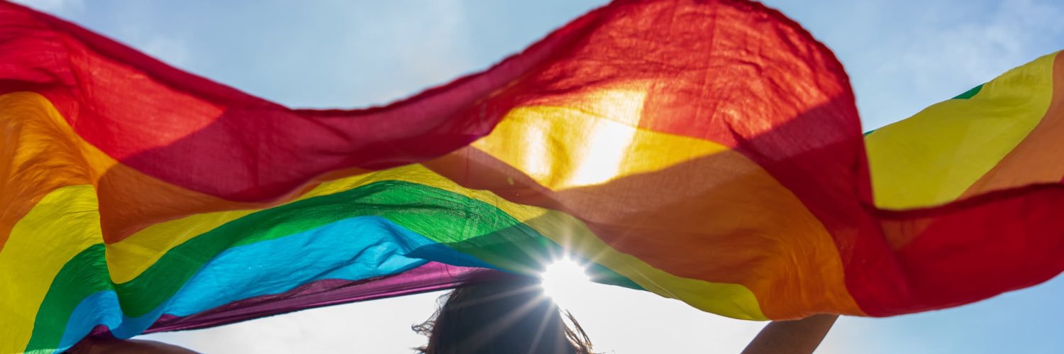Meash 📚🏳️‍🌈 banner