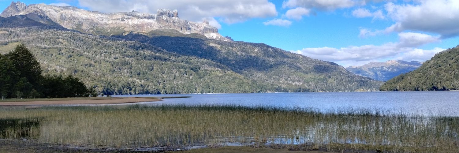 YamiPercibaldi's profile banner image