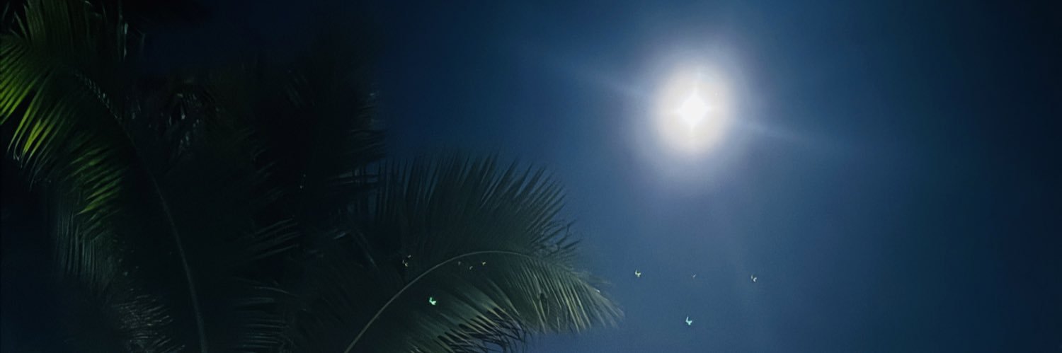 alwaysizaaaꨄ banner