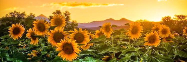 VettaOnTheRocks's profile banner image