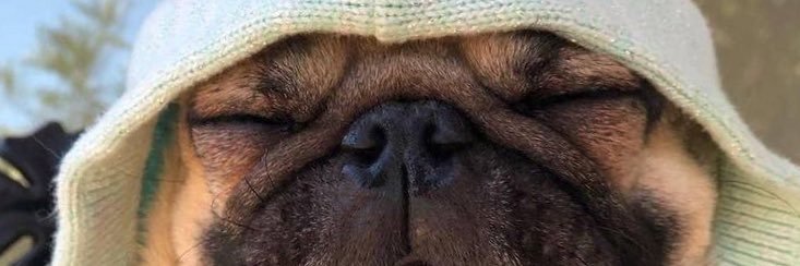 __Sammyy's profile banner image