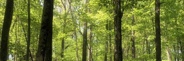 natashadiggs Profile Banner