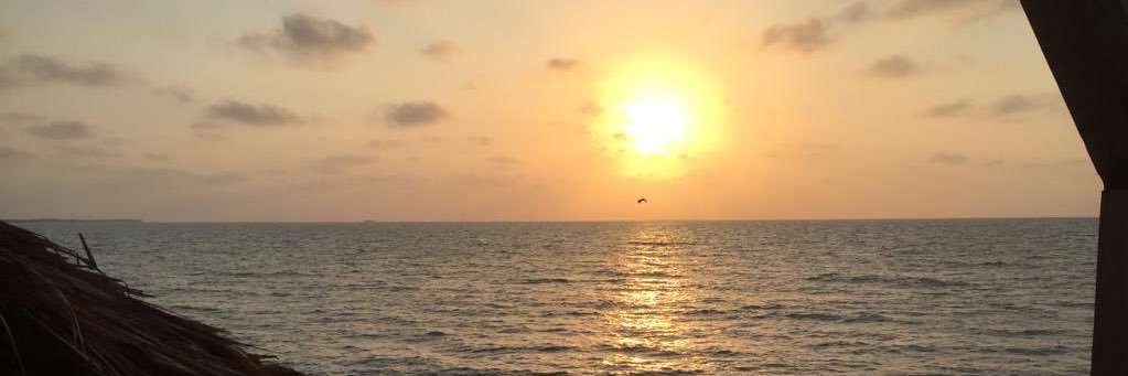 luisasanchez1's profile banner image