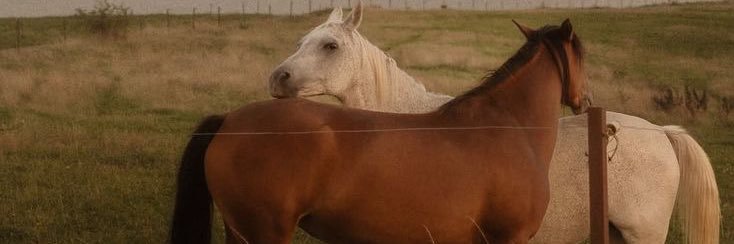 Clairva|كليرڤا banner