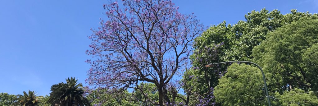 andreamsomar's profile banner image