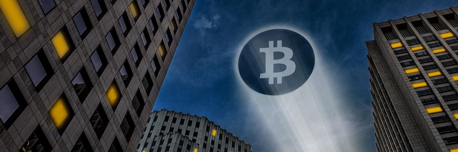 WILLA__eth's profile banner image