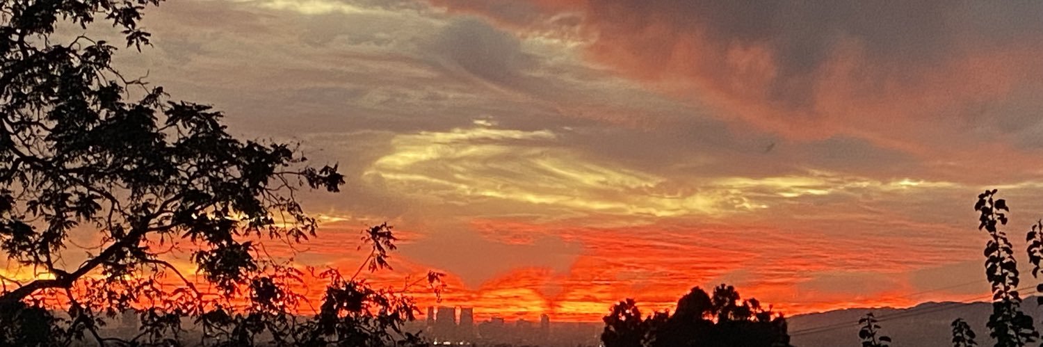 Jonathan Vankin banner