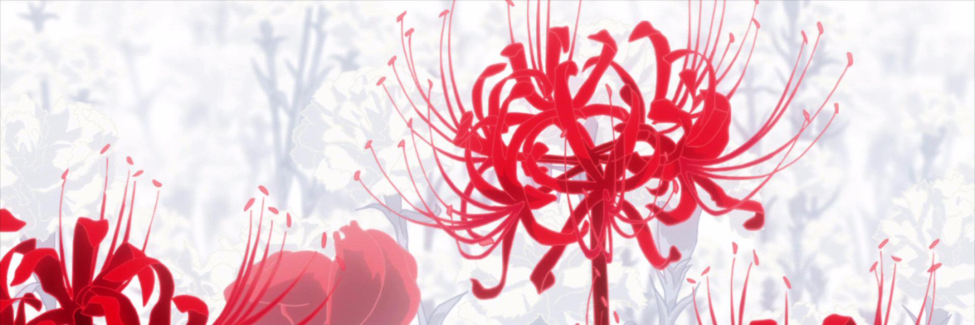 cel_red's profile banner image