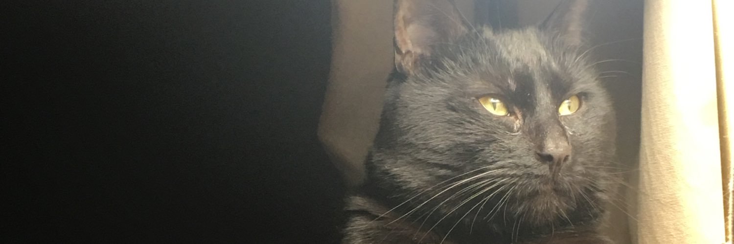 jpwkhook's profile banner image