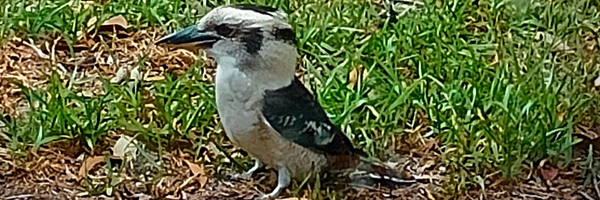 Time travelling banner