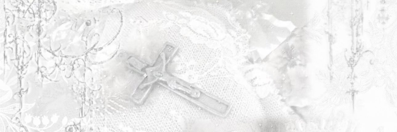 Nicole_cedx's profile banner image