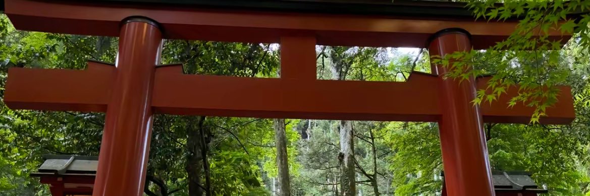 小猫吃薯条 banner
