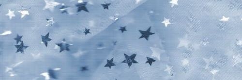 fu banner