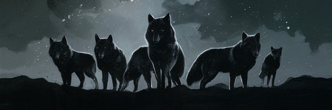 𝓢𝓱𝓮𝔀𝓸𝓵𝓯 ⚔︎✡︎✞ ☽◯☾✧🐺 ༘ ꩜ banner