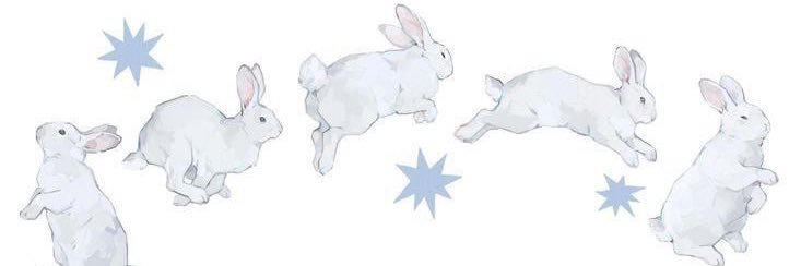 ⋆ 𐙚 ̊. banner