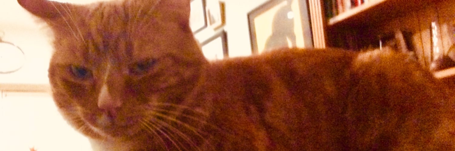 clodaghor's profile banner image