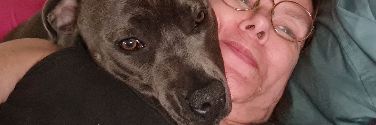 Skipychic's profile banner image