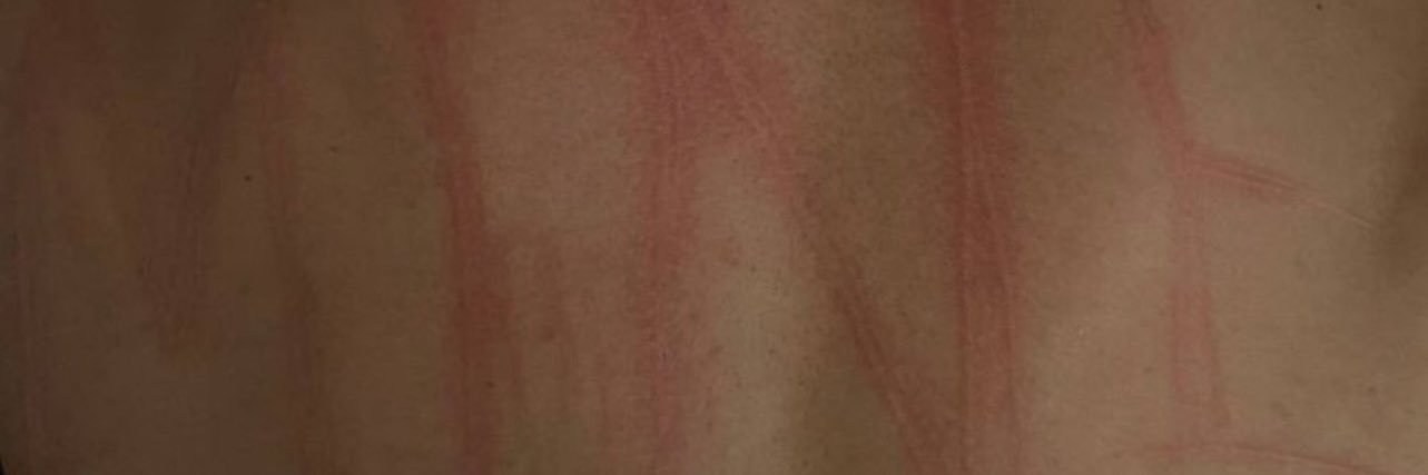 我狗呢 banner