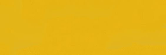 Ryan Di'Costa banner